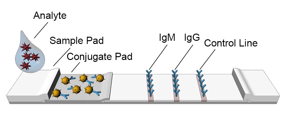 lateral-flow